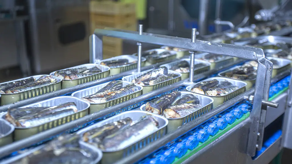 Usine COLTA FISH - Image 3