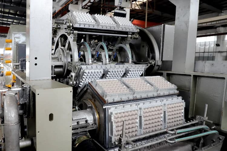 Usine EGY SOUS TRAY - Image 2